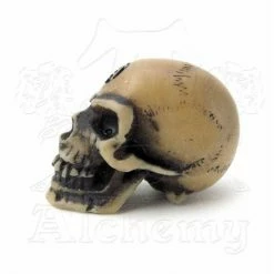 Decoration Alchemy Gothic - Lapillus Worry Skull -Figures Shop 73493 3