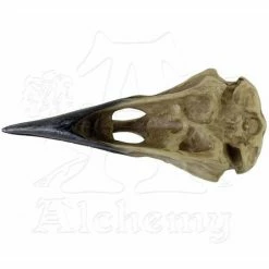 Decoration ALCHEMY GOTHIC - Corvus Alchemica -Figures Shop 81341 3