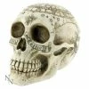 Decoration Astrological Skull 1 Decoration Astrological Skull -Figures Shop 88054 1