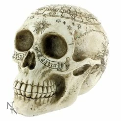 Figures Shop 39 Decoration Astrological Skull