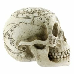 Decoration Astrological Skull -Figures Shop 88054 4