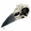 Decoration Edgar's Raven Skull -Figures Shop 98890 1