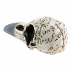 Decoration Edgar's Raven Skull -Figures Shop 98890 3