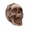 Decoration Breaking Out Skull -Figures Shop b5389s0