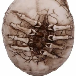 Decoration Breaking Out Skull 13 Decoration Breaking Out Skull -Figures Shop b5389s0 4