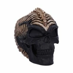 Decoration Spine Head Skull