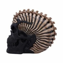 Decoration Spine Head Skull -Figures Shop b5390s0 2