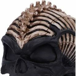 Decoration Spine Head Skull -Figures Shop b5390s0 4