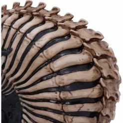 Decoration Spine Head Skull -Figures Shop b5390s0 5