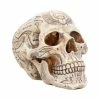 Decoration Hieroglyphic Skull -Figures Shop d4227m8