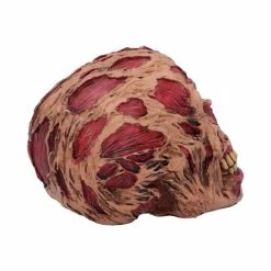 Decoration Skull - The Hoard -Figures Shop d4964r0 2