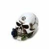Decoration ALCHEMY GOTHIC - Alchemist Skull 1 Decoration ALCHEMY GOTHIC - Alchemist Skull -Figures Shop eminiture000