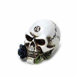 Decoration ALCHEMY GOTHIC - Alchemist Skull