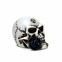 Decoration ALCHEMY GOTHIC - Alchemist Skull -Figures Shop eminiture002