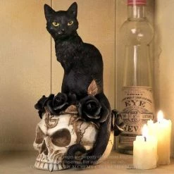 Decoration ALCHEMY GOTHIC - Black Cat & Skull -Figures Shop grimalkins ghost004