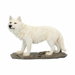 Decoration Scent In The Air