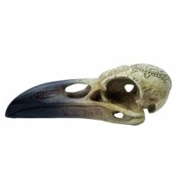 Decoration ALCHEMY GOTHIC - Omega Raven Skull -Figures Shop omega raven skullfe