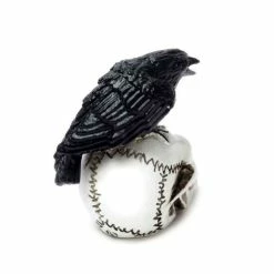 Decoration ALCHEMY GOTHIC - Raven Skull -Figures Shop raven skull miniture