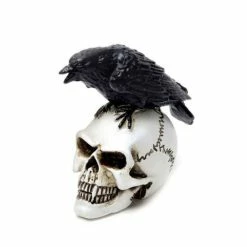 Decoration ALCHEMY GOTHIC - Raven Skull
