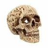 Decoration Skull Celtic Decadence