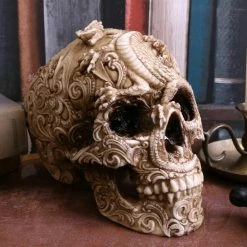 Decoration Cranial Drakos -Figures Shop u4465n9 6